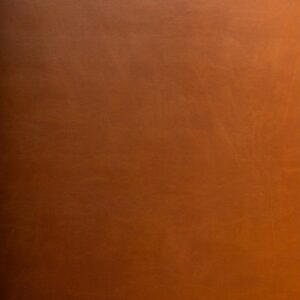 Artplas Valencia - Camel 9820
