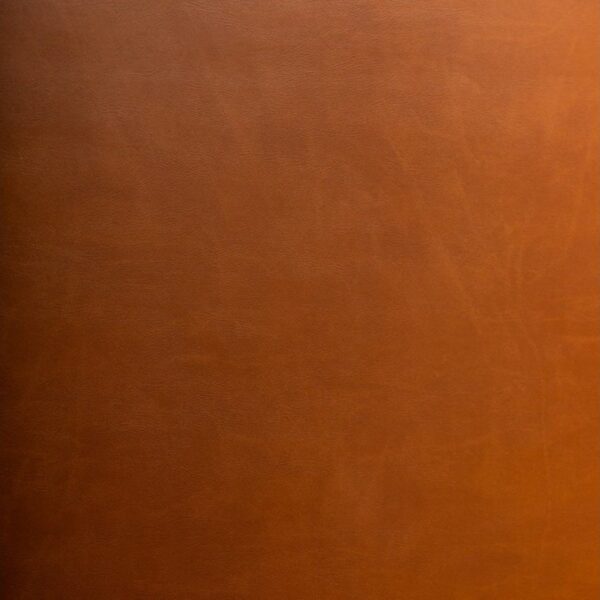 Artplas Valencia - Camel 9820