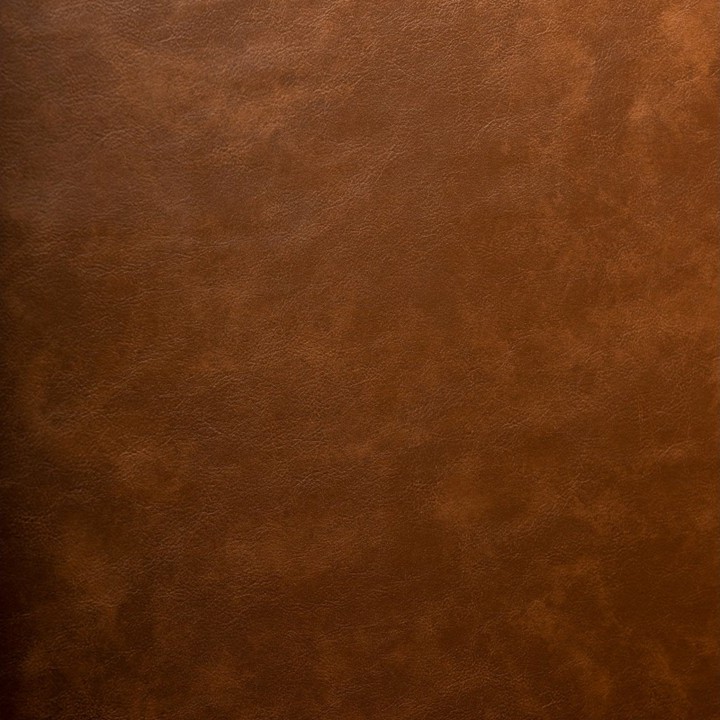 Artplas Lyon - Antilope 9306