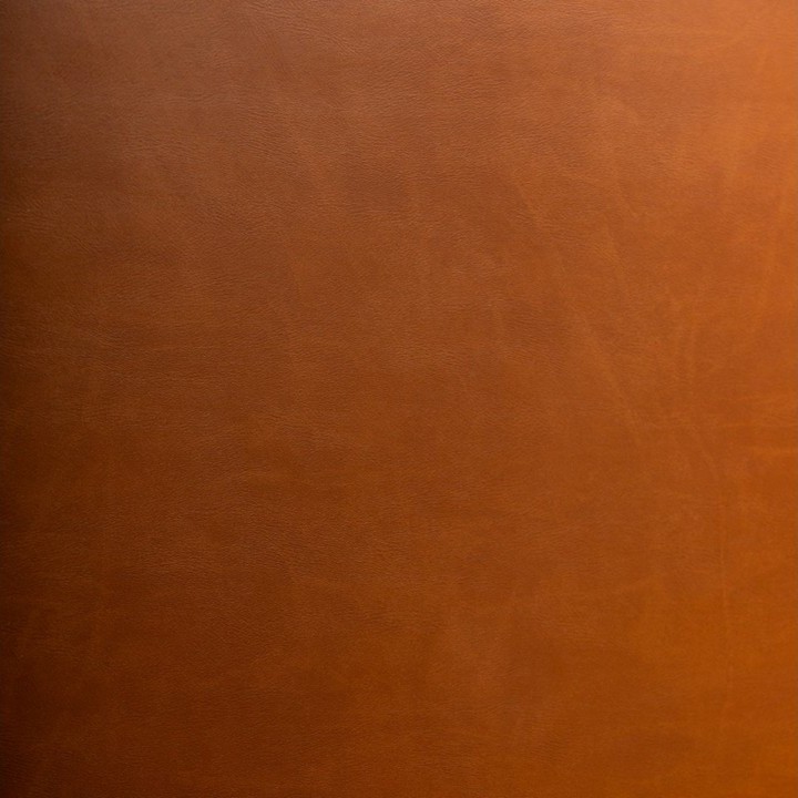 Artplas Valencia - Camel 9820