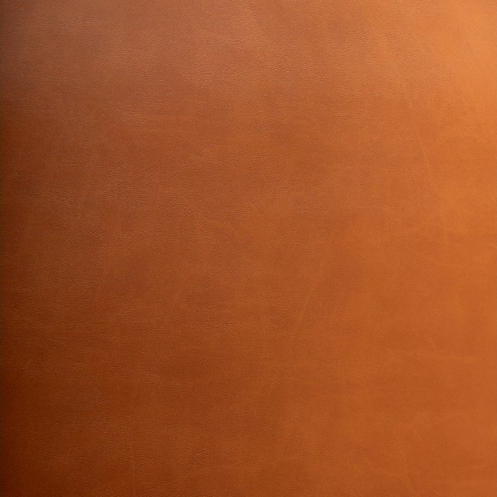 Artplas Valencia - Havana 9823