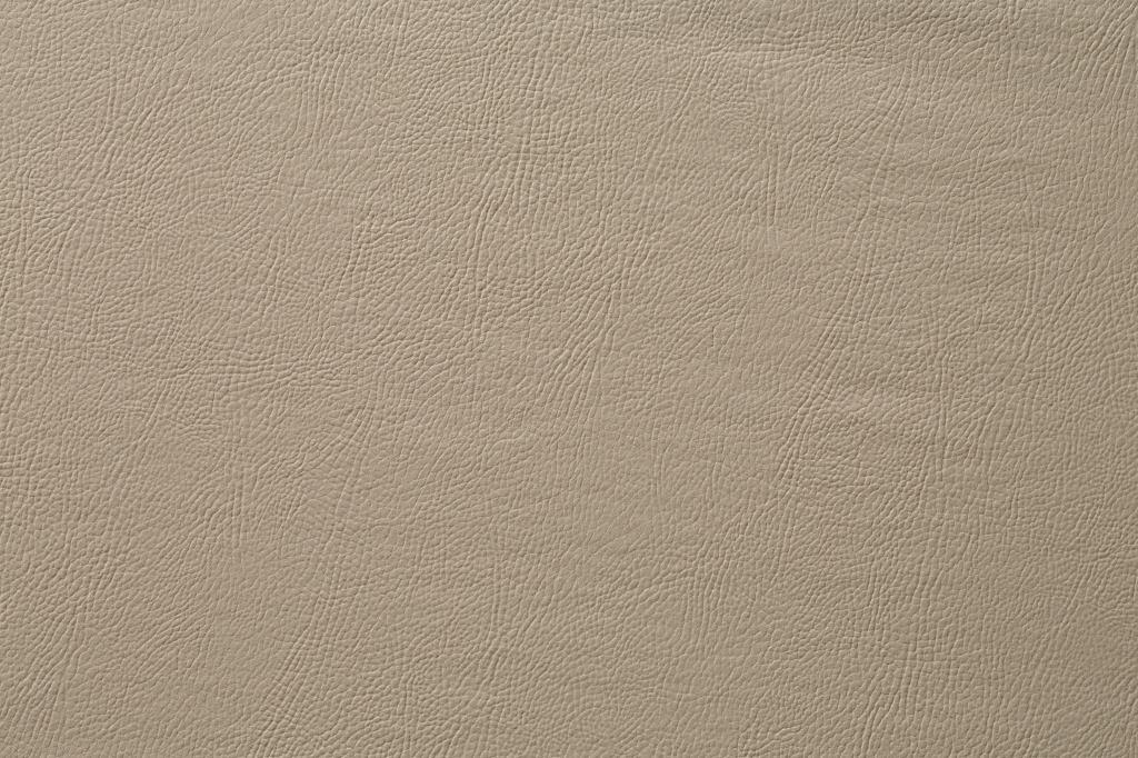 Corano Savana - 2173