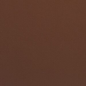 Rivera - 6986 Havana