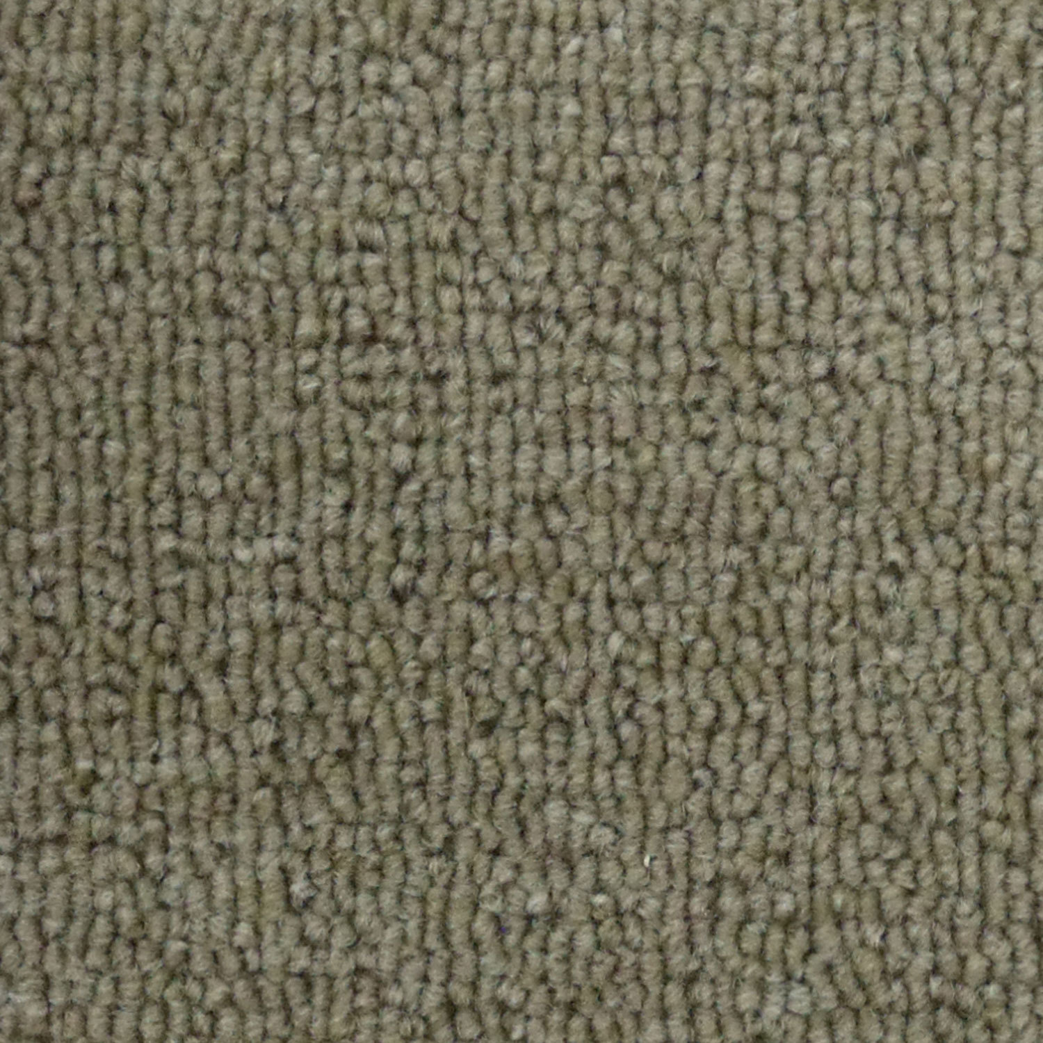 Carpe Boucle Frontier - Cru