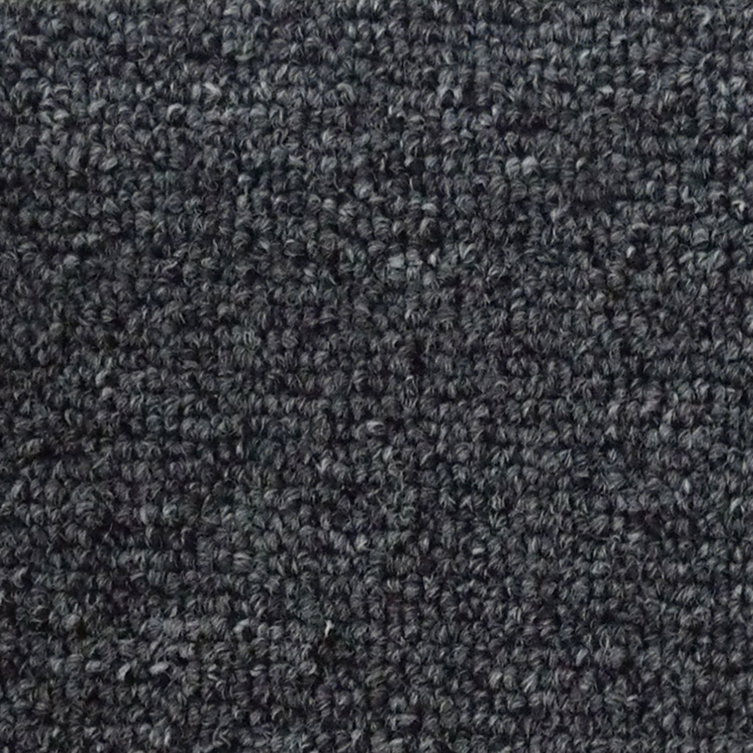 Carpe Boucle Frontier - Grafite