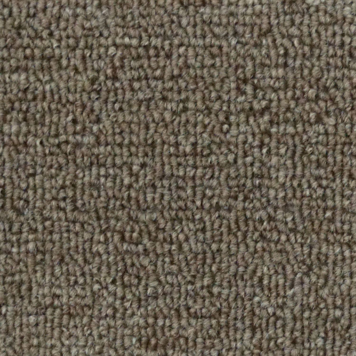 Carpe Boucle Frontier - Havana